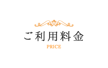 price_main_text